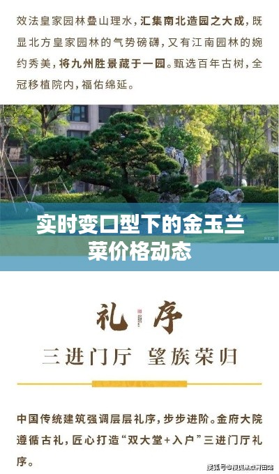 实时变口型下的金玉兰菜价格动态