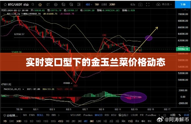 实时变口型下的金玉兰菜价格动态