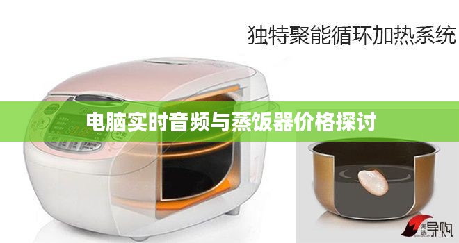 电脑实时音频与蒸饭器价格探讨