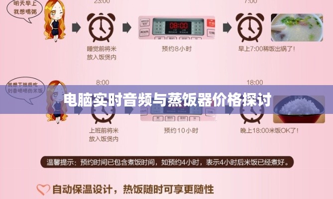 电脑实时音频与蒸饭器价格探讨