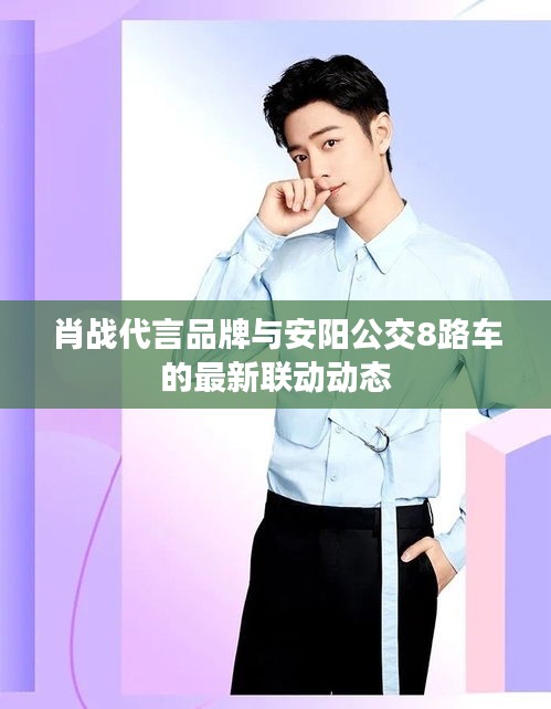 肖战代言品牌与安阳公交8路车的最新联动动态