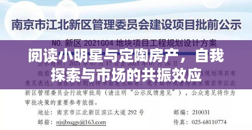 阅读小明星与定陶房产,自我探索与市场的共振效应