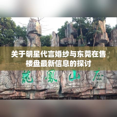 关于明星代言婚纱与东莞在售楼盘最新信息的探讨