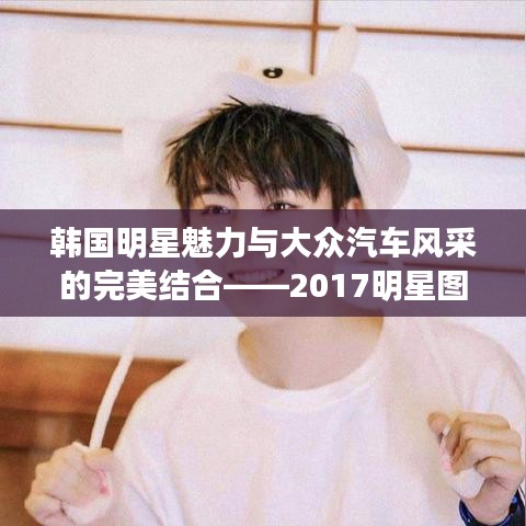 韩国明星魅力与大众汽车风采的完美结合——2017明星图片回顾展