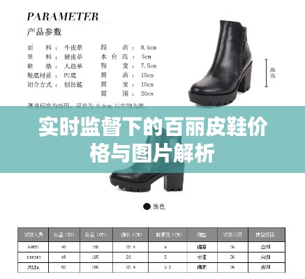 实时监督下的百丽皮鞋价格与图片解析
