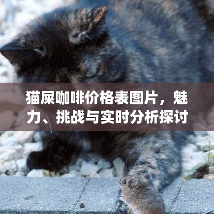 猫屎咖啡价格表图片,魅力、挑战与实时分析探讨