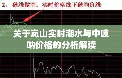 关于岚山实时潮水与中唢呐价格的分析解读