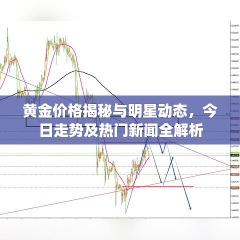 黄金价格揭秘与明星动态,今日走势及热门新闻全解析