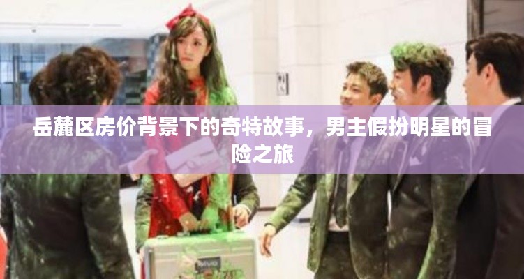 岳麓区房价背景下的奇特故事,男主假扮明星的冒险之旅