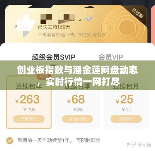 创业板指数与潘金莲网盘动态,实时行情一网打尽