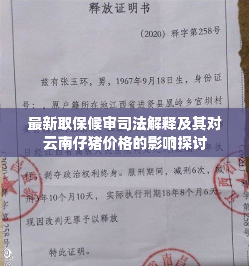 最新取保候审司法解释及其对云南仔猪价格的影响探讨