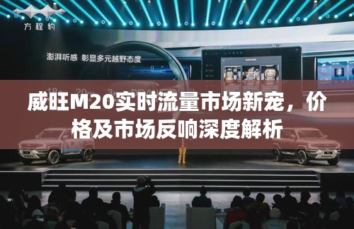 威旺M20实时流量市场新宠，价格及市场反响深度解析