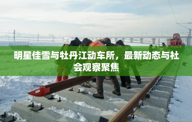 明星佳雪与牡丹江动车所,最新动态与社会观察聚焦