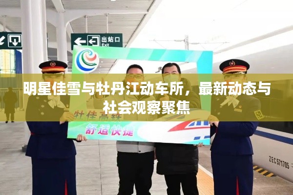 明星佳雪与牡丹江动车所,最新动态与社会观察聚焦