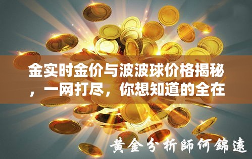 金实时金价与波波球价格揭秘,一网打尽,你想知道的全在这!