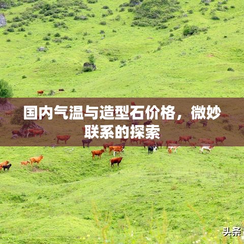 国内气温与造型石价格，微妙联系的探索