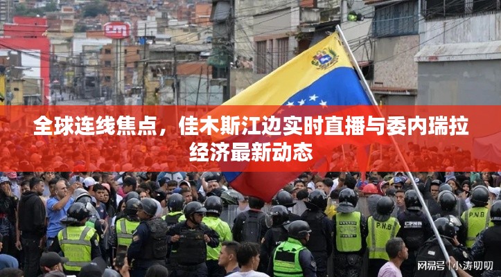 全球连线焦点，佳木斯江边实时直播与委内瑞拉经济最新动态