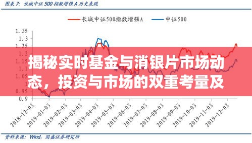 揭秘实时基金与消银片市场动态，投资与市场的双重考量及价格动态分析