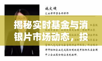 揭秘实时基金与消银片市场动态,投资与市场的双重考量及价格动态分析