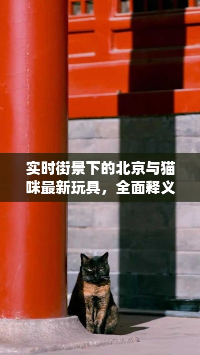 实时街景下的北京与猫咪最新玩具，全面释义、专家视角及虚假宣传风险预警