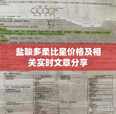 盐酸多柔比星价格及相关实时文章分享