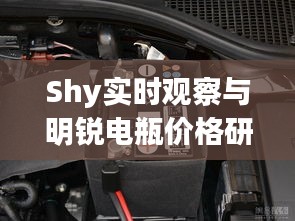 Shy实时观察与明锐电瓶价格研究,市场分析与行业理论探讨