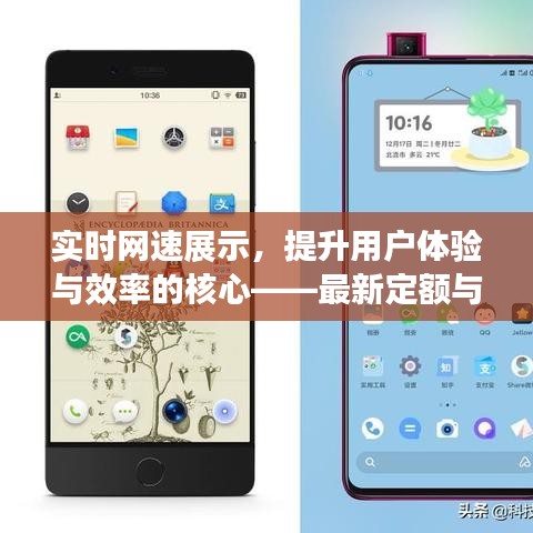 实时网速展示，提升用户体验与效率的核心——最新定额与锤子技术