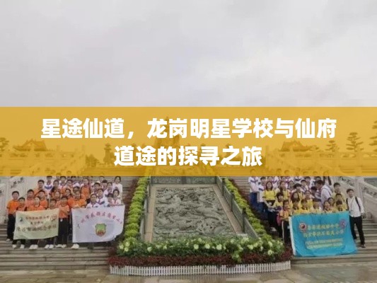 星途仙道,龙岗明星学校与仙府道途的探寻之旅