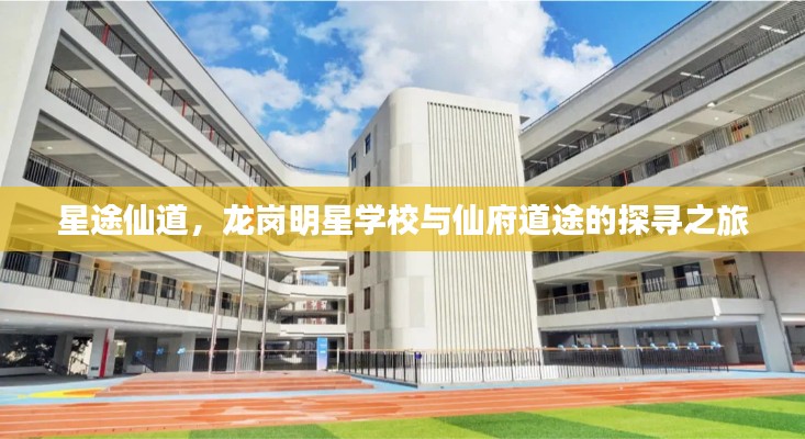 星途仙道,龙岗明星学校与仙府道途的探寻之旅