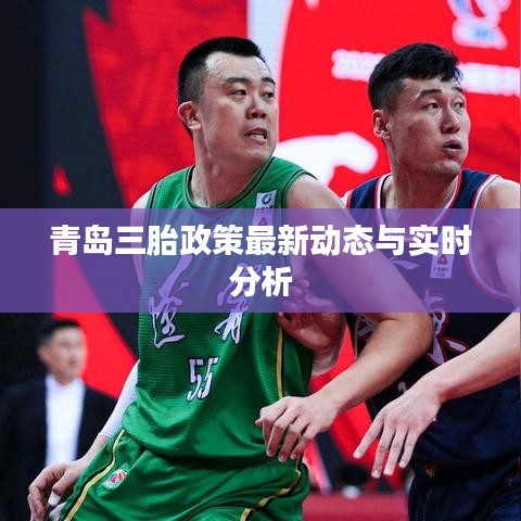 青岛三胎政策最新动态与实时分析