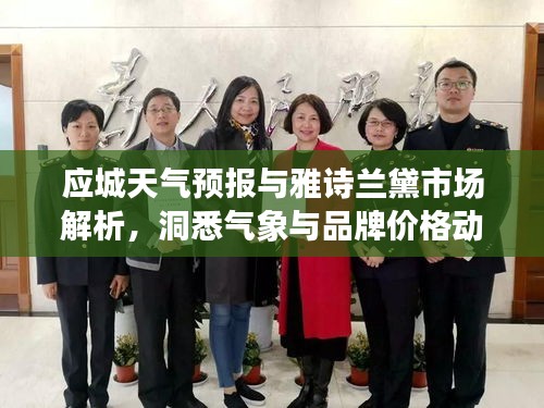 应城天气预报与雅诗兰黛市场解析,洞悉气象与品牌价格动态
