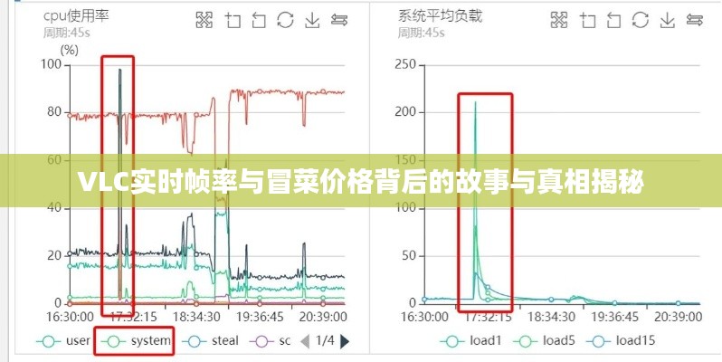 VLC实时帧率与冒菜价格背后的故事与真相揭秘