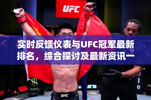 实时反馈仪表与UFC冠军最新排名,综合探讨及最新资讯一览