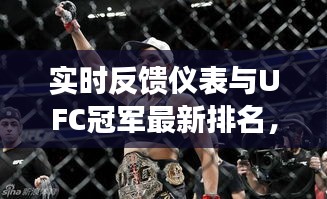实时反馈仪表与UFC冠军最新排名,综合探讨及最新资讯一览