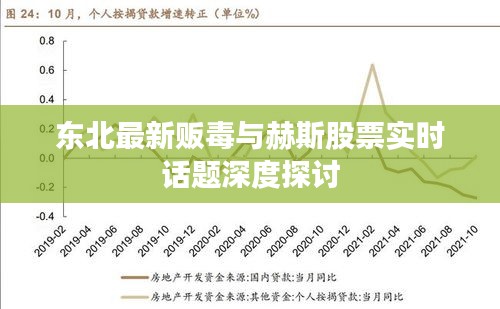 东北最新贩毒与赫斯股票实时话题深度探讨
