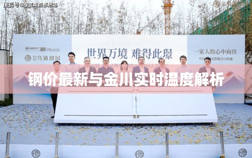 钢价最新与金川实时温度解析