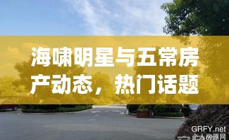 海啸明星与五常房产动态,热门话题聚焦二手房最新信息