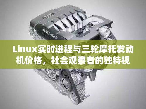 Linux实时进程与三轮摩托发动机价格,社会观察者的独特视角