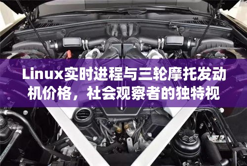 Linux实时进程与三轮摩托发动机价格,社会观察者的独特视角