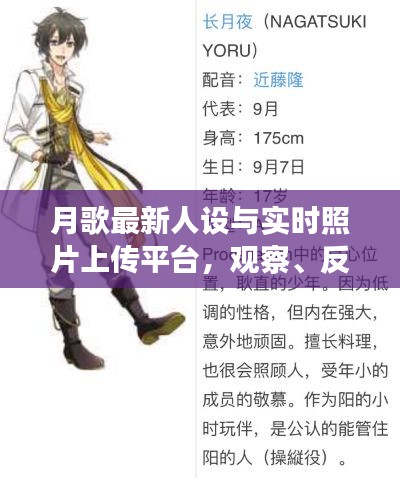 月歌最新人设与实时照片上传平台,观察、反思与体验