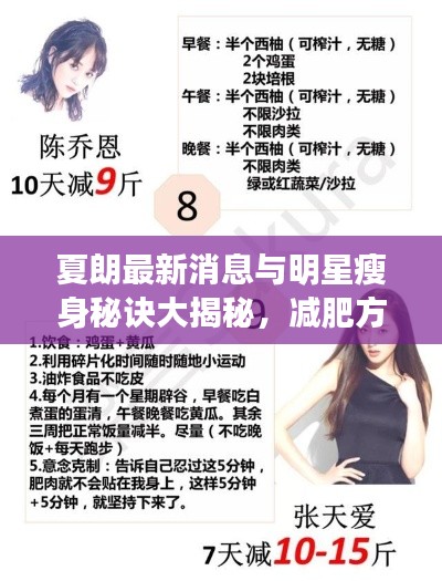 夏朗最新消息与明星瘦身秘诀大揭秘,减肥方法与秘诀全解析
