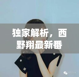 独家解析，西野翔最新番与当下潮流热点碰撞，时空跨越的潮流盛宴