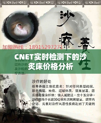 CNET实时检测下的沙炙床价格分析