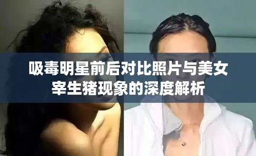 吸毒明星前后对比照片与美女宰生猪现象的深度解析