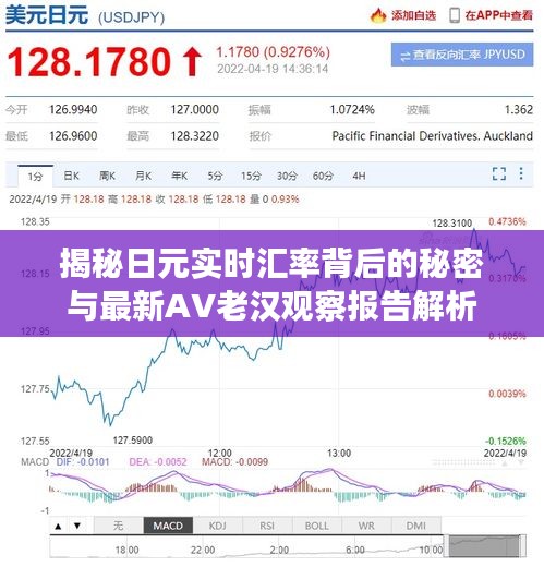 揭秘日元实时汇率背后的秘密与最新AV老汉观察报告解析