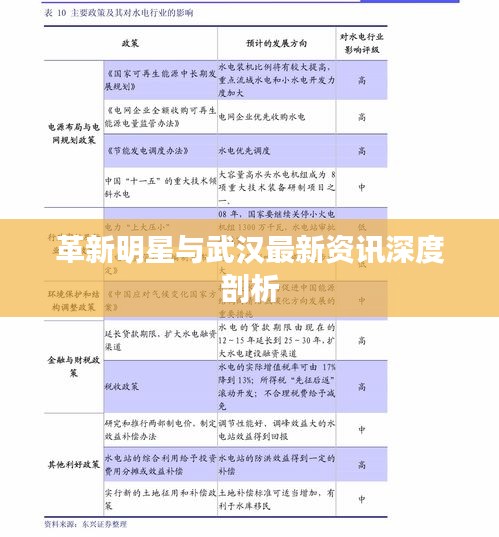 革新明星与武汉最新资讯深度剖析