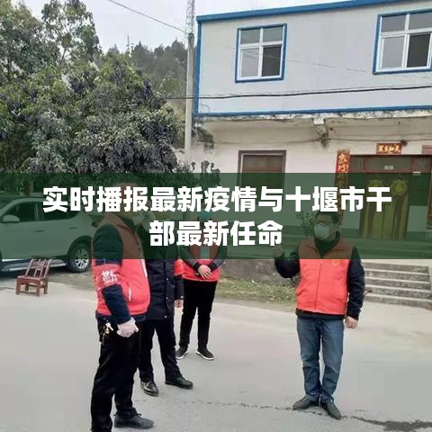 实时播报最新疫情与十堰市干部最新任命