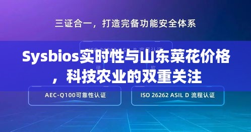 Sysbios实时性与山东菜花价格，科技农业的双重关注