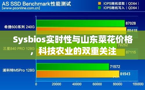 Sysbios实时性与山东菜花价格,科技农业的双重关注