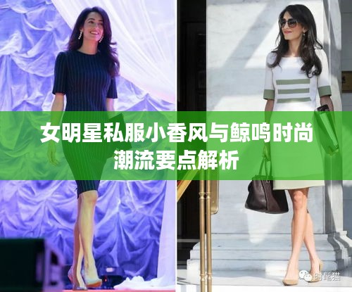 女明星私服小香风与鲸鸣时尚潮流要点解析